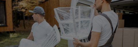 Beautiful Green Living Spaces